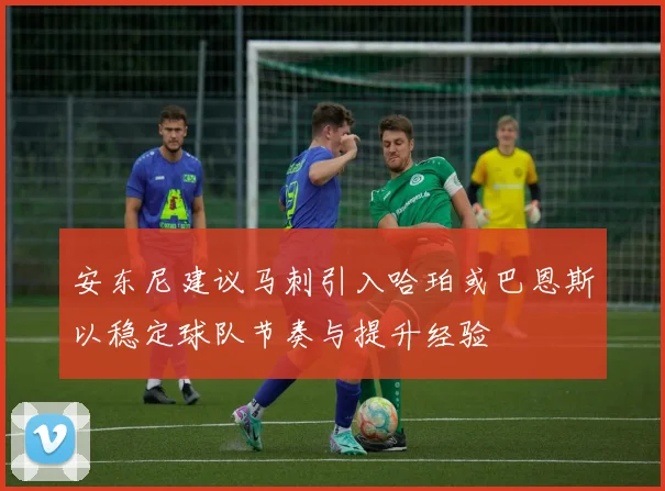 安东尼建议马刺引入哈珀或巴恩斯以稳定球队节奏与提升经验