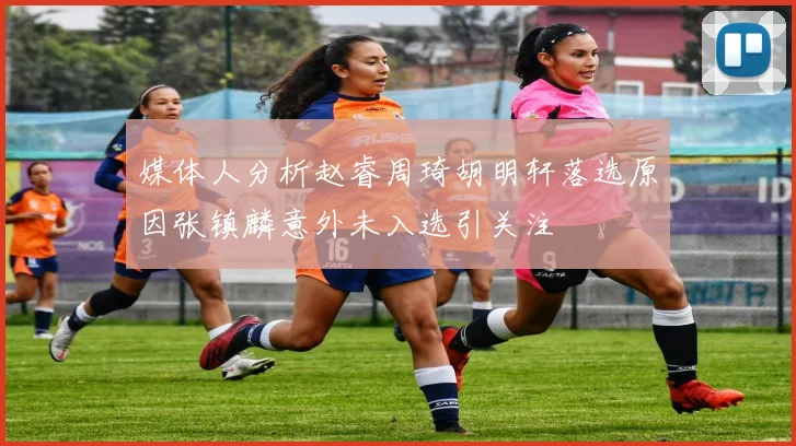 媒体人分析赵睿周琦胡明轩落选原因张镇麟意外未入选引关注